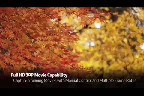 Canon 5Ds & 5Dsr Advanced Overview screenshot 3