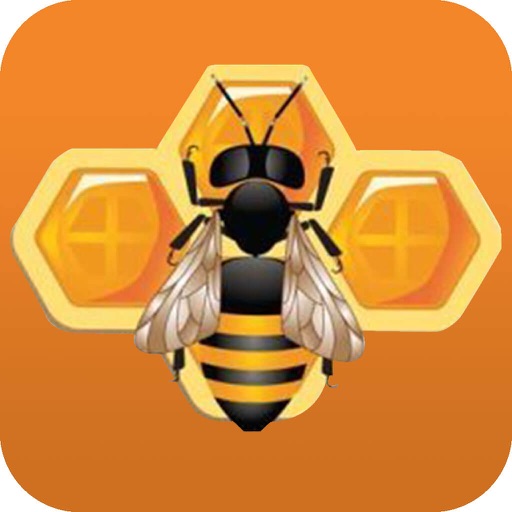 蜂蜜网-客户端 icon