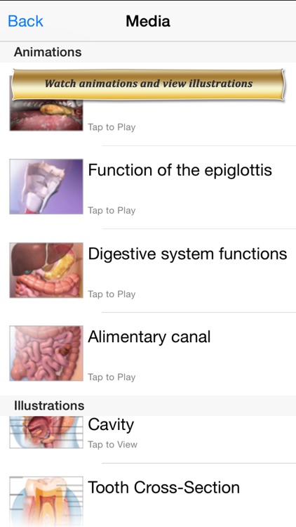 Digestive Anatomy Atlas: Essential Reference for Students and Healthcare Professionals screenshot-3