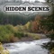 Hidden Scenes is a game similar to a jigsaw puzzle where you swap and flip the pieces to reveal the hidden scene