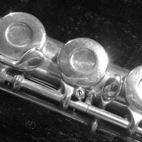 Flute+ pour PC