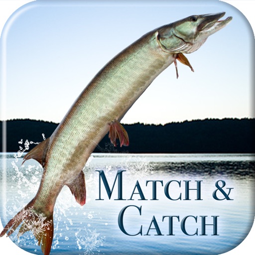 i Fishing Match and Catch icon