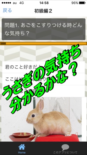 ウサギの気持ち クイズ をapp Storeで