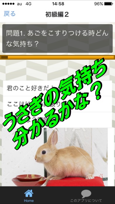 ウサギの気持ち クイズ Iphoneアプリ Applion