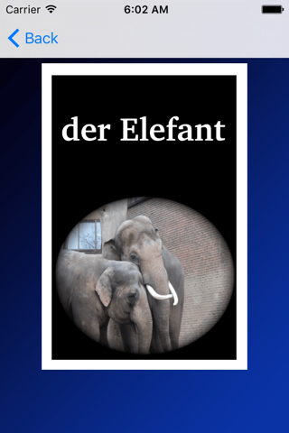 Learn German Language App - Part 1 with Jingle Jeff ( German words for KS1 and KS2 children ) screenshot 2