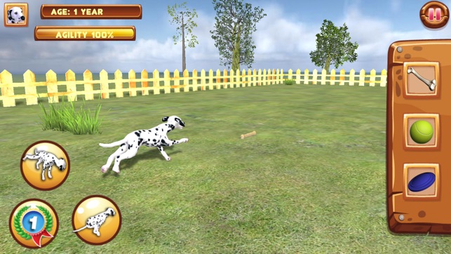 Play with your Dog: Dalmatian(圖1)-速報App