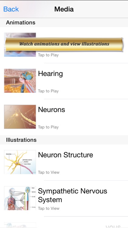 Brain and Nervous Anatomy Atlas: Essential Reference for Students and Healthcare Professionals screenshot-3