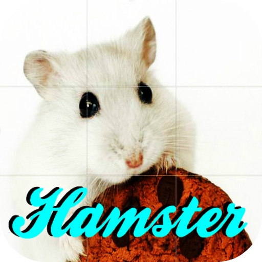 Cute Hamster Puzzle Icon
