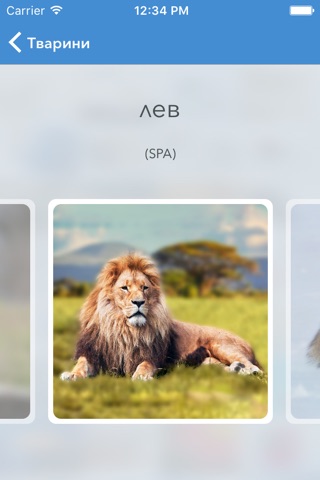 Visual  Dictionary — español–ucrania diccionario  ilustrado  con  traducción  y  pronunciación screenshot 3