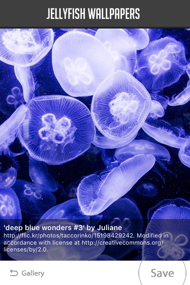 Jellyfish Wallpapers screenshot 4