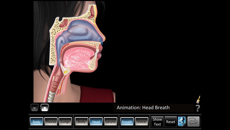 Respiration ID