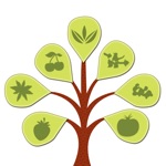 Ref Guide for Ayurvedic Herb Instant Home Remedies Free