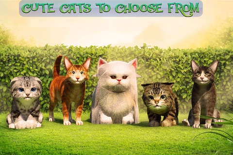 Cute Cat Adventure 2016 - náhled