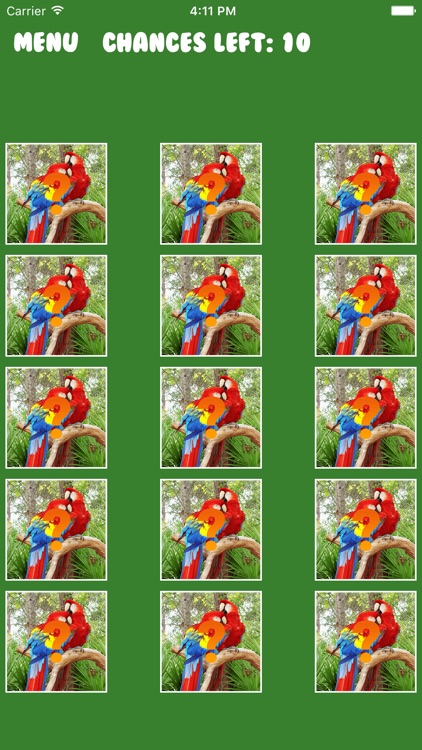Birds Memory Puzzle screenshot-0