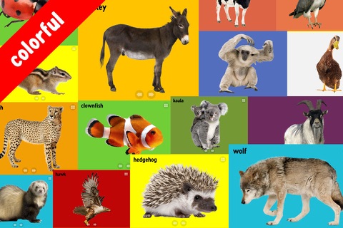 100 Animals Words for Babies & Toddlers School Edition screenshot 2