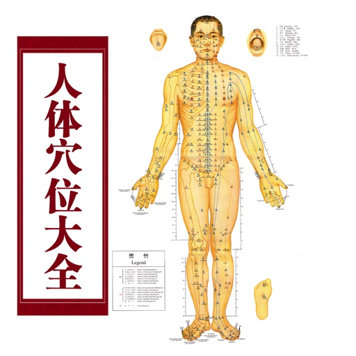 人体穴位大全 - 家庭自我保健中医经络养生与健康专家！ icon