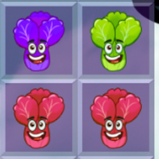 A Happy Lettuce Blossom