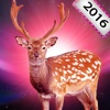 2016 New deer hunter 3D- sniper shooter in wild fantasy world