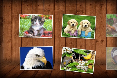 Realistic Games - Animal Puzzle for Kids screenshot 2