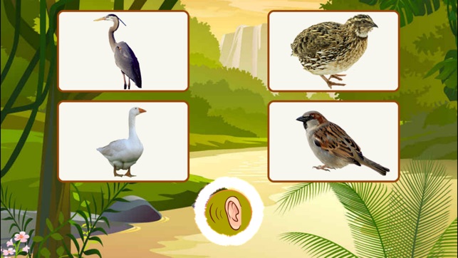 Animal Sounds Quiz For Kids(圖3)-速報App