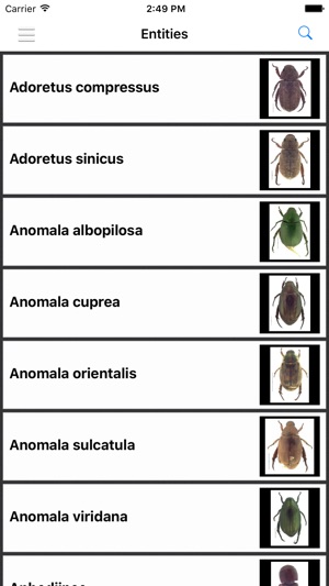 Hawaiian Scarab ID(圖4)-速報App