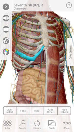 For Organizations - 2016 Human Anatomy Atlas(圖1)-速報App