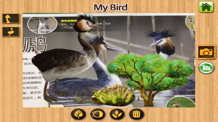 MY BIRD - Augmented Reality screenshot-3