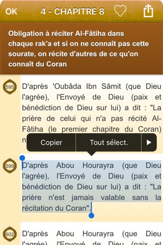 Sahih Muslim Audio : Français screenshot 3