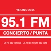 CONCIERTO PUNTA 95.1 FM
