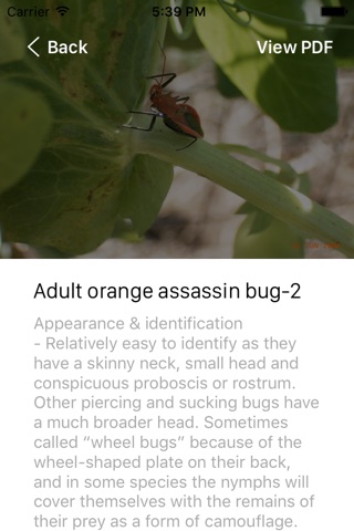 Insects & Organic Gardening screenshot 3