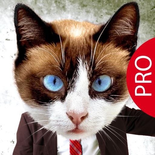 Animal Face Pro - Cat stickers for your photos and more by Mar Ballesteros  Lorenzo
