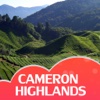 Cameron Highlands Travel Guide