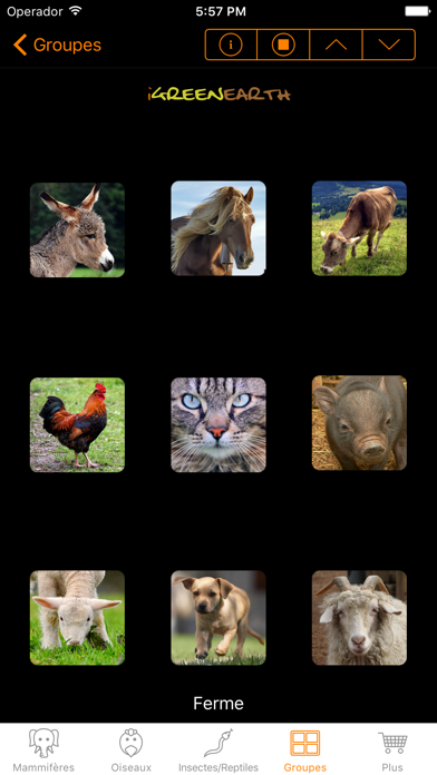 Bruitages d'animaux - Animal Chatter Pro Bruitages d'animaux - Animal Chatter Pro