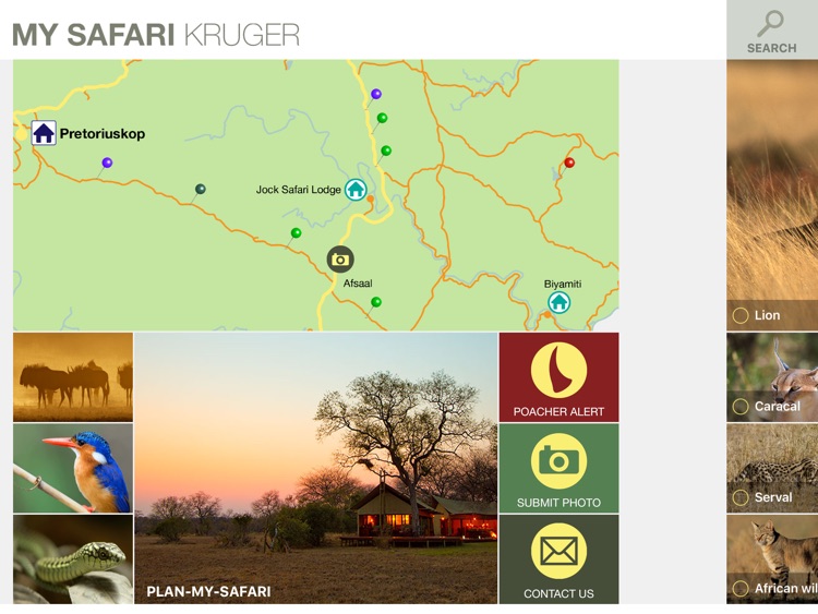 MY SAFARI - Ranger Edition HD