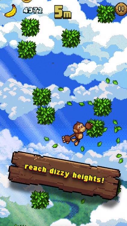 Monkey Swingers
