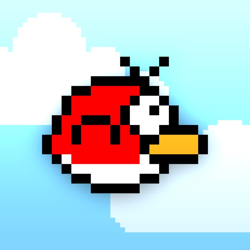 Bolo Bird icon