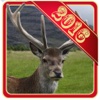 2016 Big Buck Deer Hunting Adventure - 3D Wild Life Safari Sniping Challenge Pro