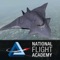 National Flight Academy