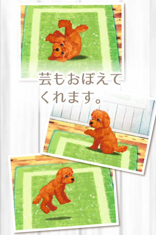 My Dog Life -Toy Poodle Edition- screenshot 2