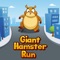 Giant Hamster Run - Run for Fun