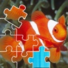 Fishes Puzzle
