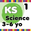 KS-Test: A Test using 431 Kindergarten Science Flashcards
