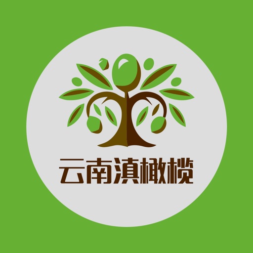 云南滇橄榄 icon