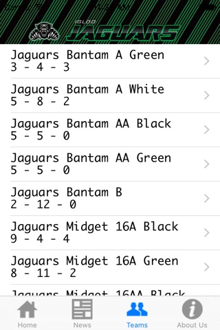 Igloo Jaguars screenshot 3