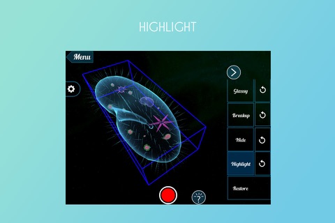 Paramecium 3D screenshot 3