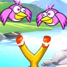 Activities of Slingshot Bird Sling Shooter:  A Fly Bubble Birdy Hunter Game