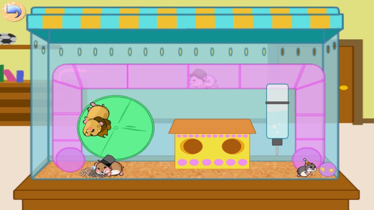Hamster Chase