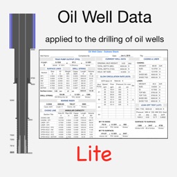 Oil Well Data Lite