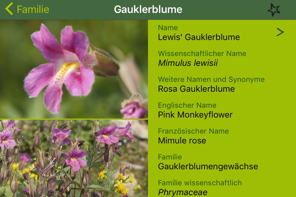 Rockies AlpineFlower Finder – a field guide to identify the wildflowers of the Rocky Mountains screenshot 4