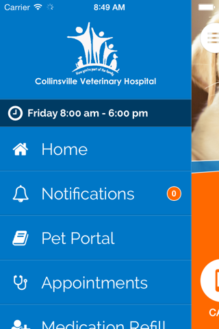 Collinsville Veterinary Hospital screenshot 2